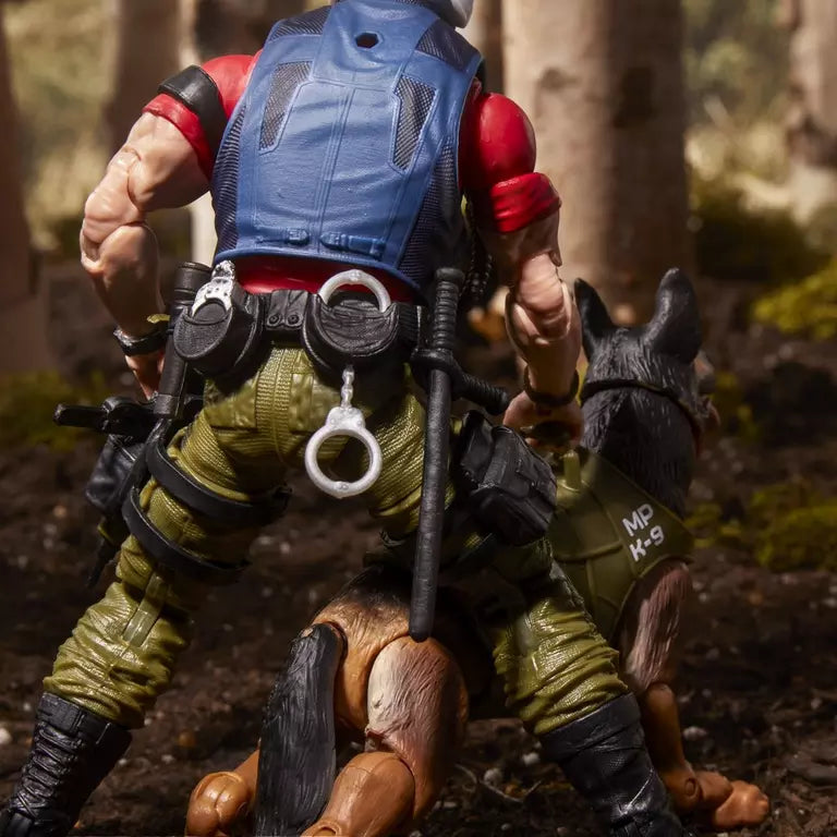 G.I. Joe Classified Series #157, Christopher "Law" Lavigne & Order