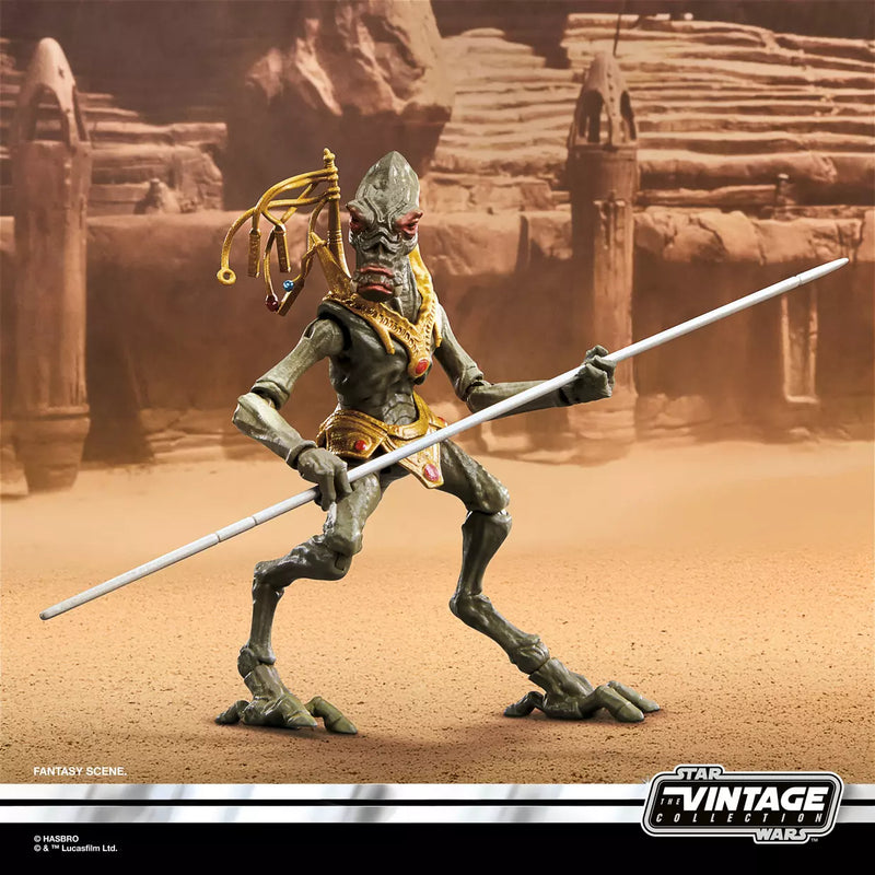 Deposit: Star Wars The Vintage Collection Orray & Geonosian Picador