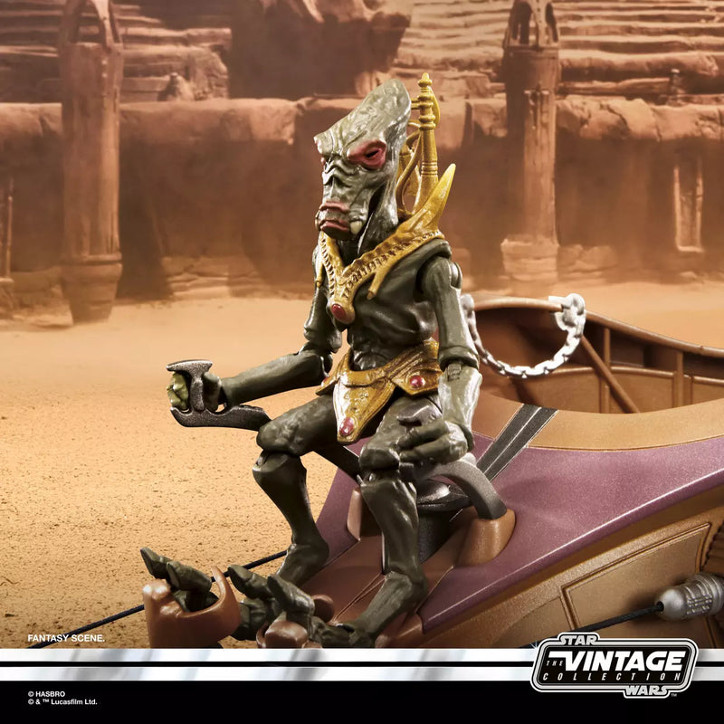 Deposit: Star Wars The Vintage Collection Orray & Geonosian Picador